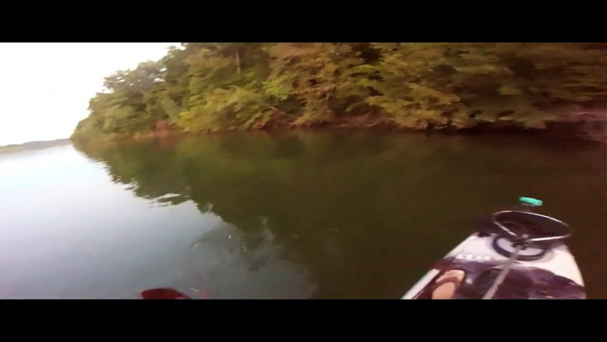 kayak bass fishing - Smallmouth bass - Tims Ford Lake TN