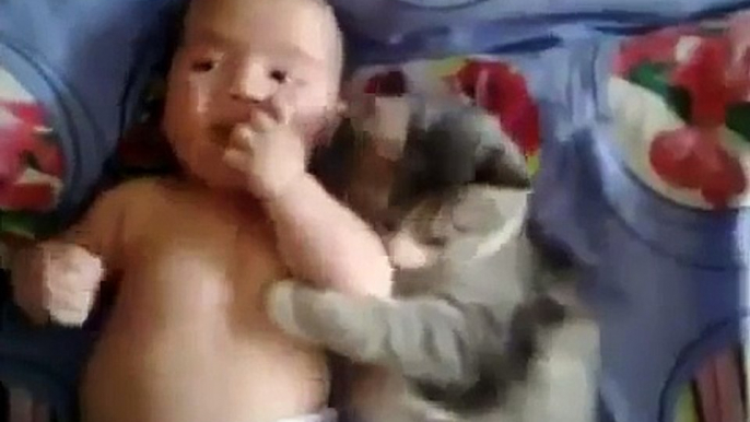 Cute cat loves baby - from funny and cute cats and babies collection