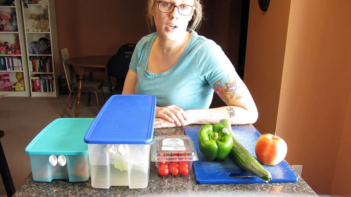 Vegetables & Fruits I feed The Guinea Pigs. Low Calcium Diet.