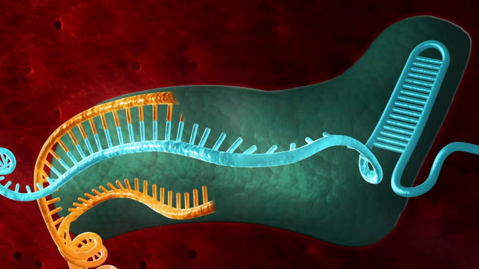 CRISPR Genome Editing - Horizon Discovery
