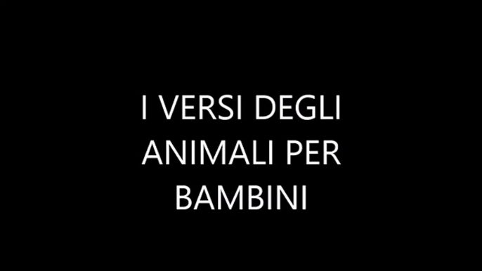 i versi degli animali per bambini