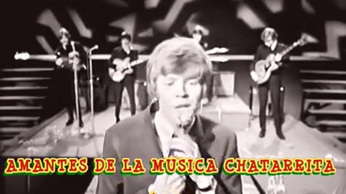 AMANTES DE LA MUSICA CHATARRITA 60 70 HERMAN`S HERMITS  LISTEN PEOPLE