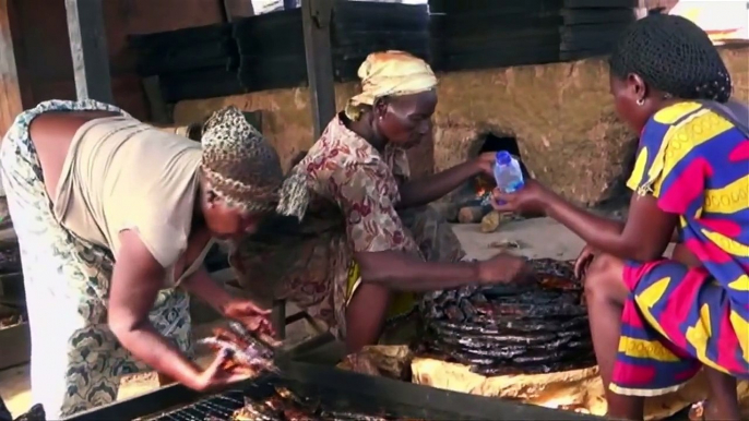 Behind the Fish: An energy audit of fish processing in Ghana