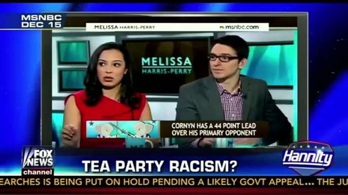 Dana Loesch DESTROYS race baiter.