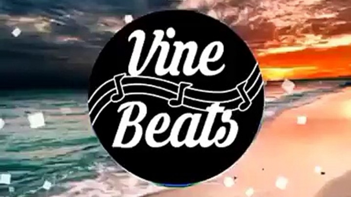 Vine Beats Take Me Home  Cash Cash Revoke Remix visual by: Vine Beats