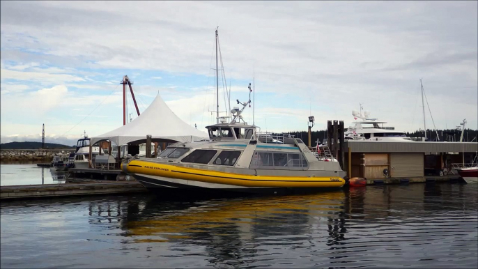 Mackay Whale Watching Tours Port McNeill BC