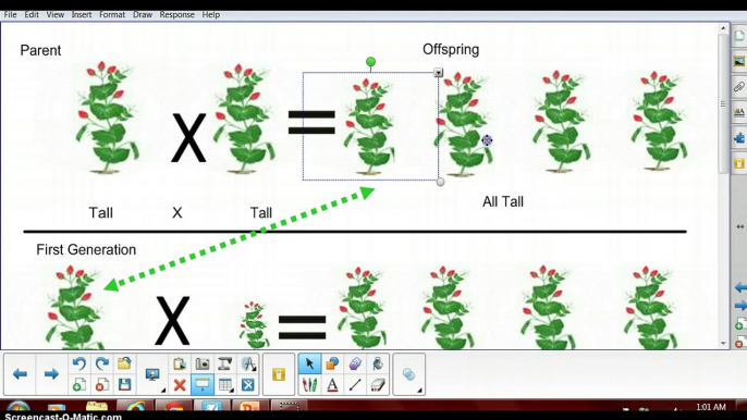 Genetics Lesson 1