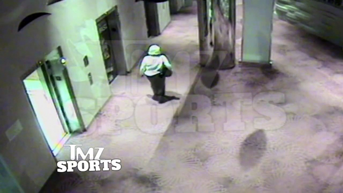 Complete video footage released of Baltimore Ravens RB Ray Rice punching out his fiancÃ©.