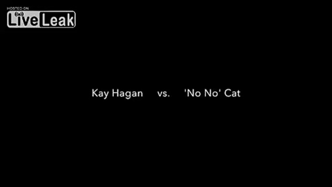 Kay Hagan vs. No No Cat