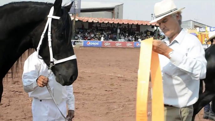 Feria del Caballo Texcoco 2013