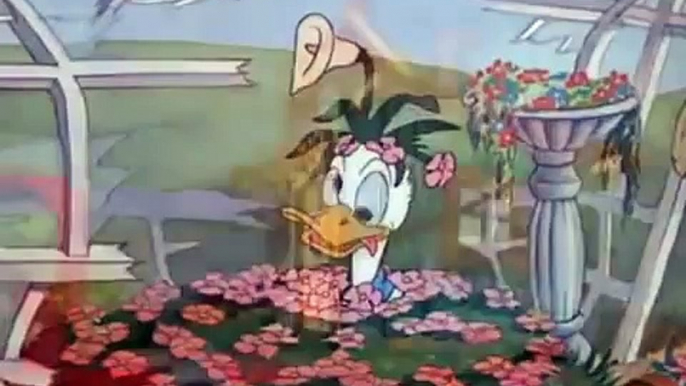 Donald Duck Episodes Truant Officer Donald Best Classic Cartoons English Collection