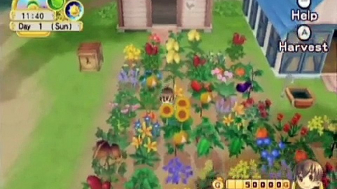 Harvest Moon Tree of Tranquility Video Review