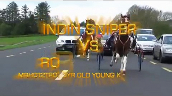INDIAN SNIPER VS ROBBIN HOOD. 3 YR OLD MRHOT2TROT YOUNG KINGS 2013...