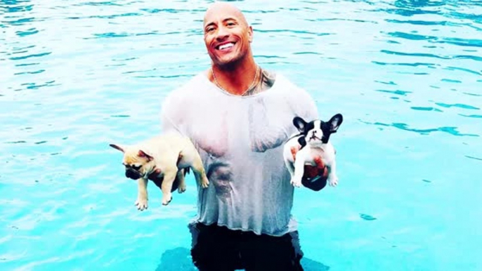 Dwayne 'The Rock' Johnson Saves His Puppies From a Pool