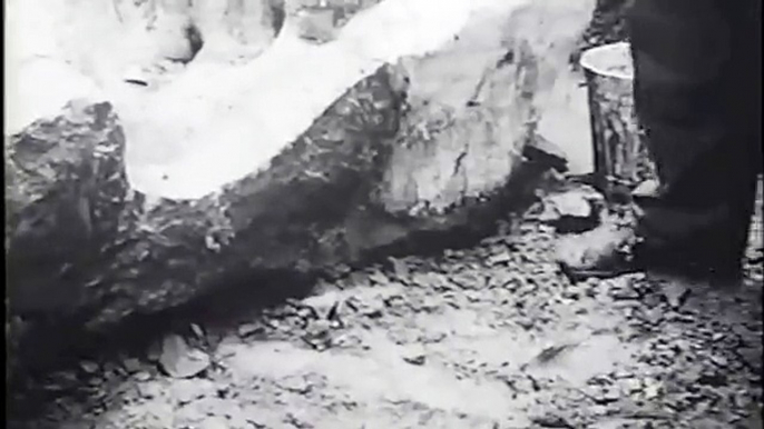 R.T. Bird Removing Paluxy River Dinosaur Tracks