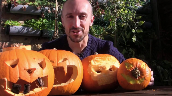 Pumpkin Carving Tips & Tricks: Easy Ideas to Create Amazing Halloween Pumpkins