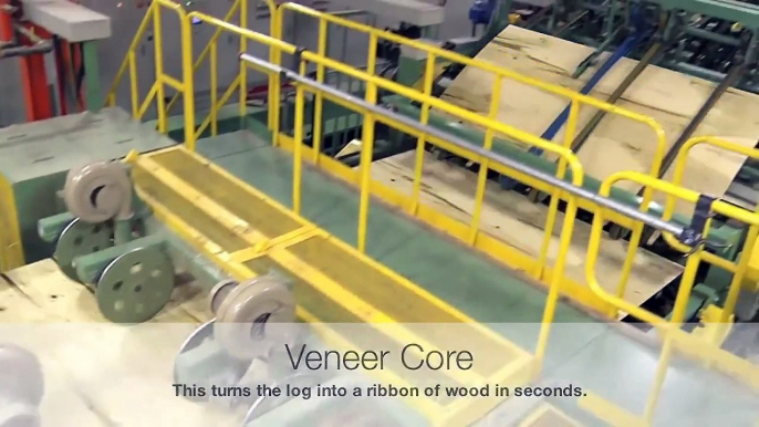 Hardwood Plywood-How It's Made