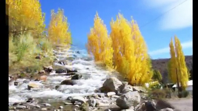 Algo de Mendoza, Argentina