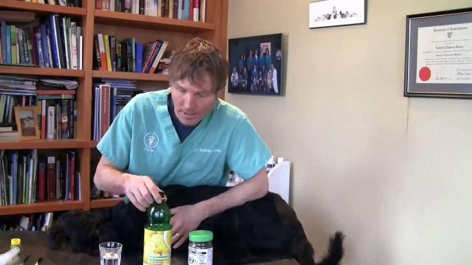 Kennel Cough Medicine Watch This!