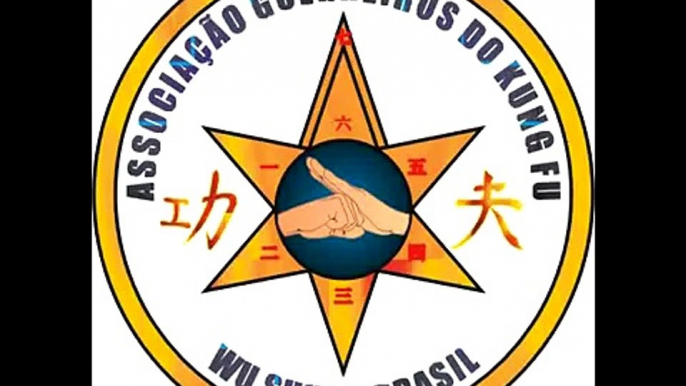 AULAS DE KUNG FU CURSO DE DEFESA PESSOAL EM DVD COM MESTRE GOMES NETO - MARTIAL ARTS