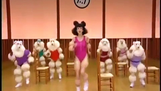 Poodle Aerobics m2820   360p