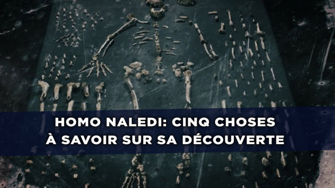 Homo naledi: Cinq choses à savoir sur sa découverte