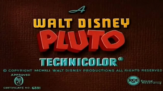 Pluto Pluto's Playmate