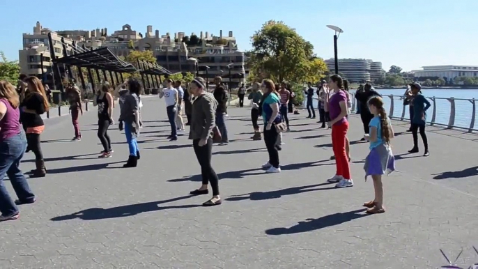 Flash Mob Marriage Proposal - Georgetown Waterfront Park DC