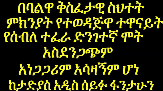 Tadias Addis Report_ Artist Seble Tefera Killed in a Car Accident