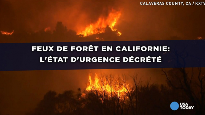 Feux de forêt en Californie: L'état d'urgence décrété