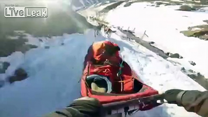 First Person View of the 2014 Iditarod Sled Dog Race