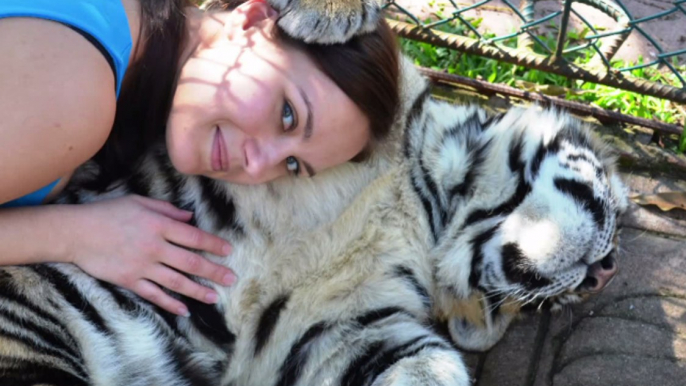 Animal Sanctuary Volunteer Charts Her Most Memorable Moments