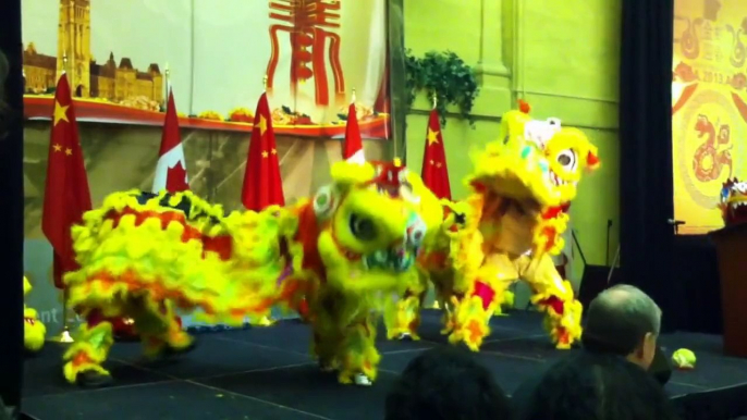 Special New Year Chinese Festival Dragon Dance