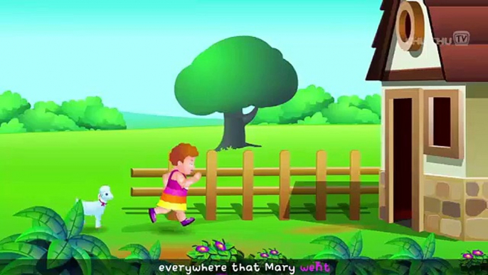 Mary Had A Little Lamb Children Nursery Rhyme - 3D Rhymes With Lyrics - Cartoon Animation Rhymes