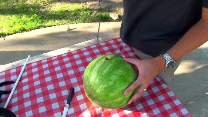 Watermelon smoothie hack in 2 minutes- No mess