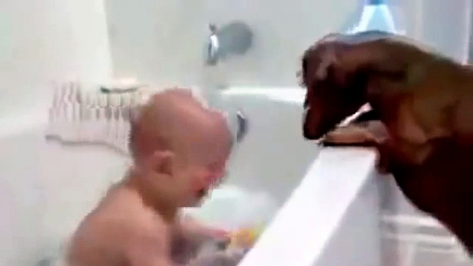 Il divertente video del cane che fa ridere il bambino!