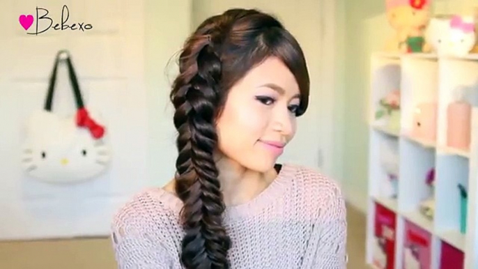 Dutch Fishtail Braid Hairstyle  Hair Tutorial