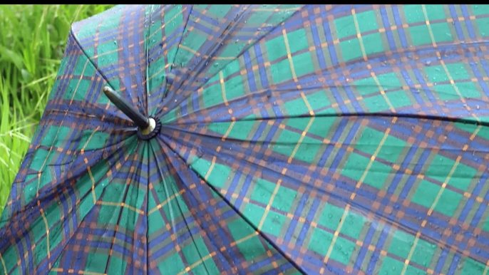 Sound of Rain on Umbrella