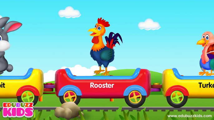 Learn Animal Train | Animal Sounds | Farm Animals, Birds, Sea Animals and Wild Animals Tra