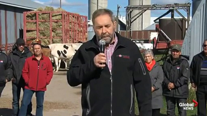 Mulcair says Harper “can’t be trusted” on guarantees given about Trans Pacific trade deal