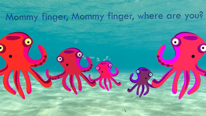 Animals Cartoons Finger Family Children Nursery Rhymes | Animals Finger Family Rhymes for