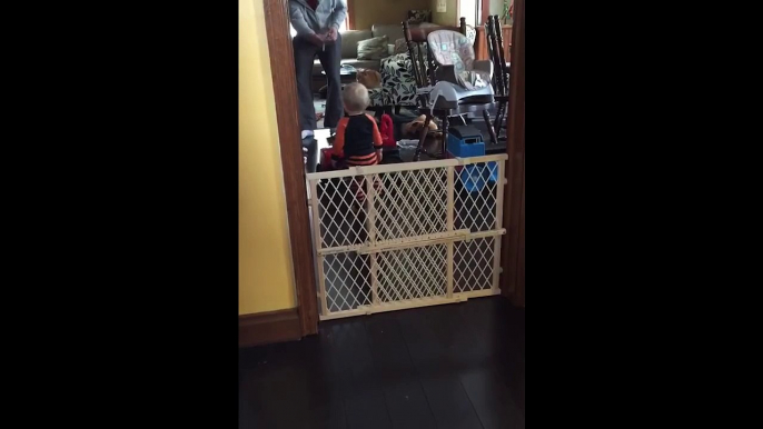 Cat Plays Fetch Over Baby Gate-IvbQxmcWmoU