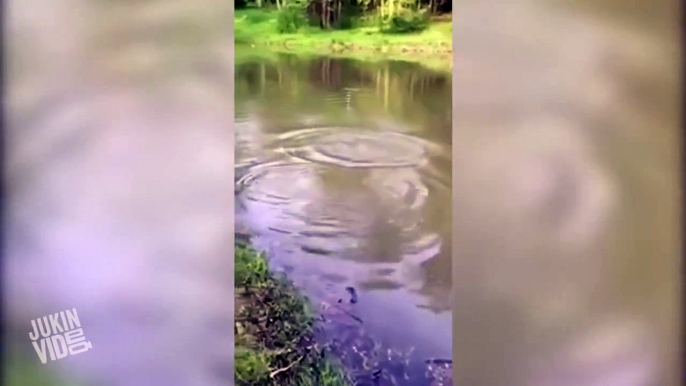 Little Girl Catches Giant Fish | Bass Master