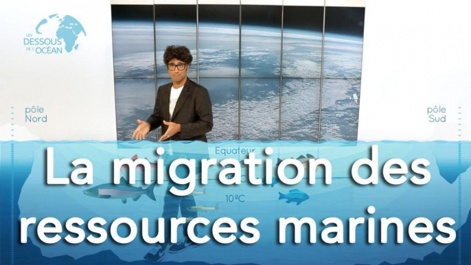 La migration des ressources marines - Les dessous de l'Océan 1x04