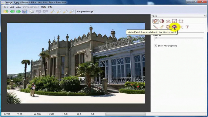 Iimege Auto Patch Baisc Use Retouch Pilot pro_0