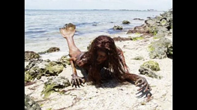 Real MERMAID found with PROOF