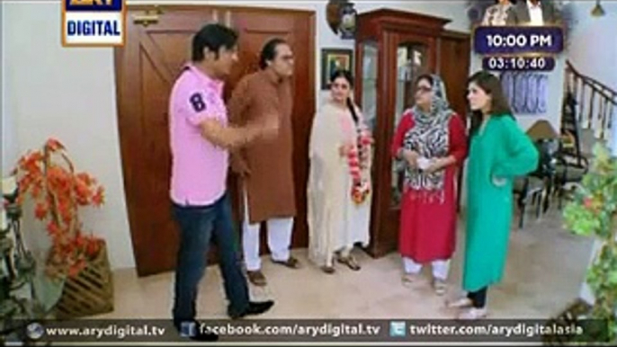 Watch Bulbulay   Latest Episodes of ARY Digital