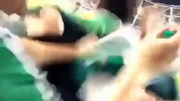 Shane Long Incredible Winner Goal Against Germany Ireland vs Germany 1 0 (Fan Footage) 201