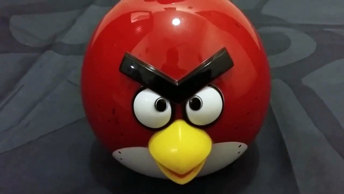 Angry Birds Cartoons For Children | Angry Birds Toys For Kids | Angry Birds Cartoon Videos