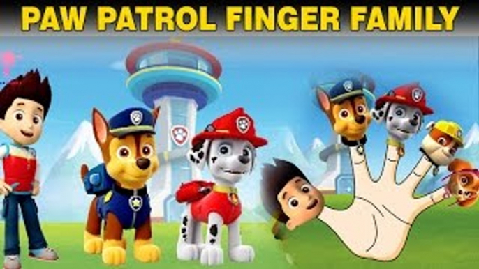 Paw Patrol Finger Family Nursery Rhymes Paw Patrol Cartoon Animated English Rhymes for Kid